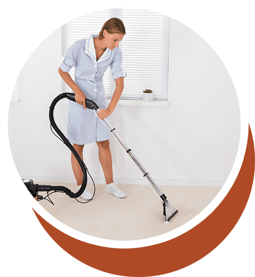 Lice Inspection and Cleaning Services